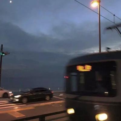 口袋数码兽果盘版下载